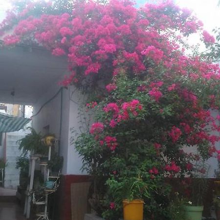 Casa Huespedes Lolita Ξενοδοχείο Τσιχουάχουα Εξωτερικό φωτογραφία